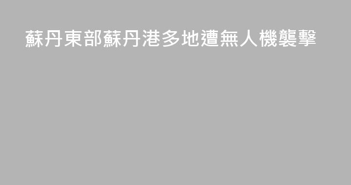 蘇丹東部蘇丹港多地遭無人機襲擊
