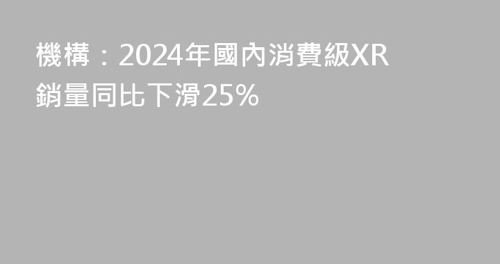 機構：2024年國內消費級XR銷量同比下滑25%