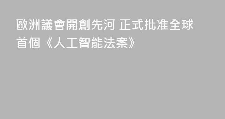 歐洲議會開創先河 正式批准全球首個《人工智能法案》