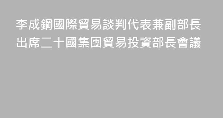 李成鋼國際貿易談判代表兼副部長出席二十國集團貿易投資部長會議