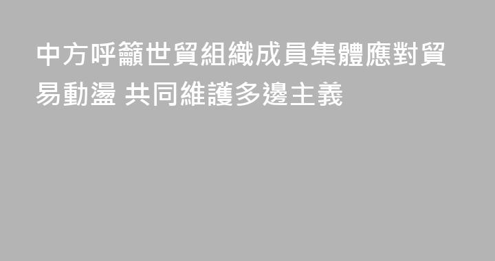 中方呼籲世貿組織成員集體應對貿易動盪 共同維護多邊主義
