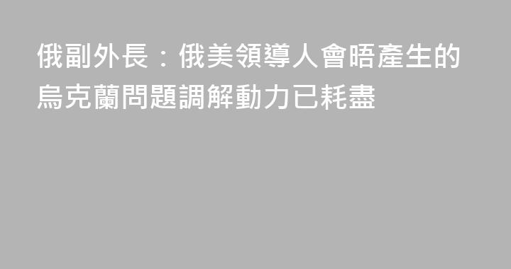 俄副外長：俄美領導人會晤產生的烏克蘭問題調解動力已耗盡