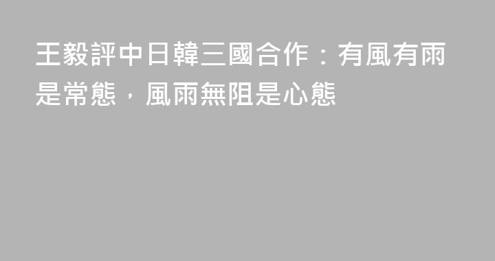 王毅評中日韓三國合作：有風有雨是常態，風雨無阻是心態