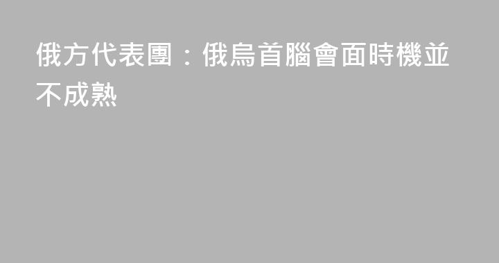 俄方代表團：俄烏首腦會面時機並不成熟