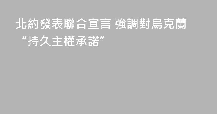 北約發表聯合宣言 強調對烏克蘭“持久主權承諾”