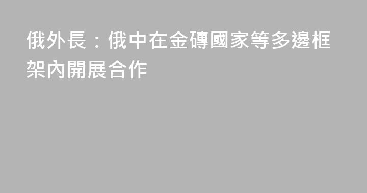 俄外長：俄中在金磚國家等多邊框架內開展合作