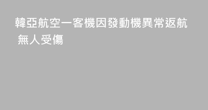 韓亞航空一客機因發動機異常返航 無人受傷