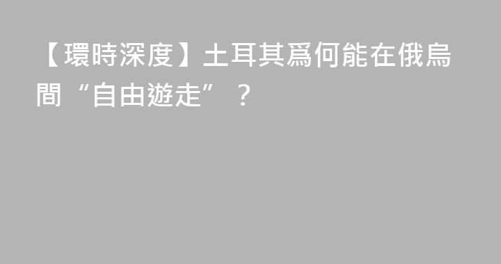 【環時深度】土耳其爲何能在俄烏間“自由遊走”？