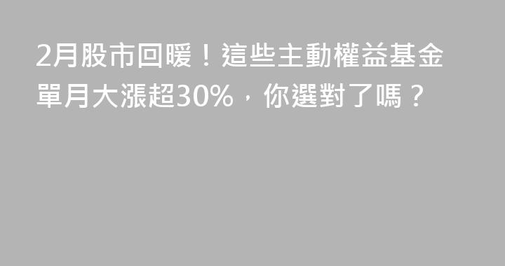 2月股市回暖！這些主動權益基金單月大漲超30%，你選對了嗎？