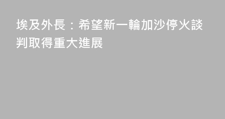 埃及外長：希望新一輪加沙停火談判取得重大進展