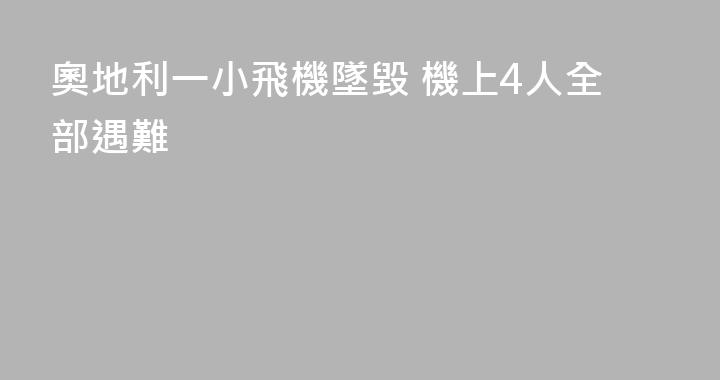 奧地利一小飛機墜毀 機上4人全部遇難
