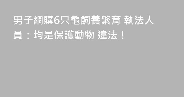 男子網購6只龜飼養繁育 執法人員：均是保護動物 違法！