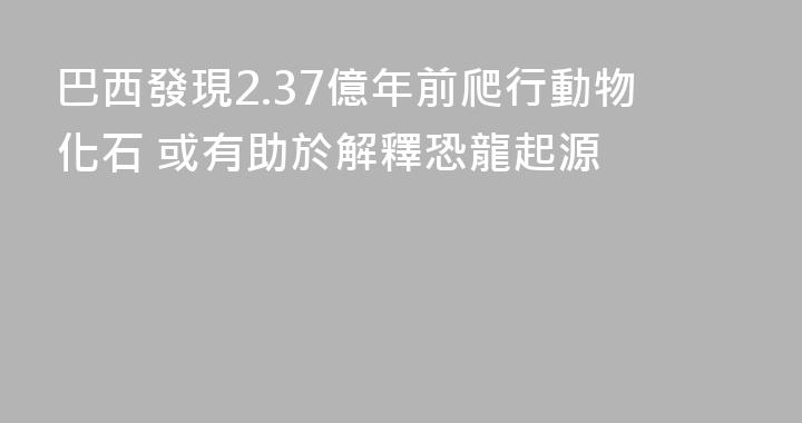 巴西發現2.37億年前爬行動物化石 或有助於解釋恐龍起源