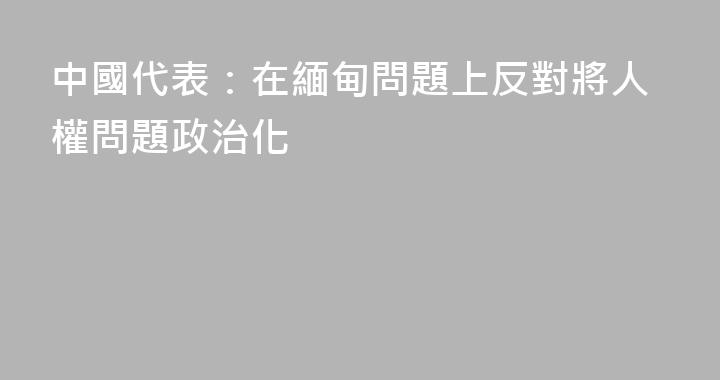 中國代表：在緬甸問題上反對將人權問題政治化