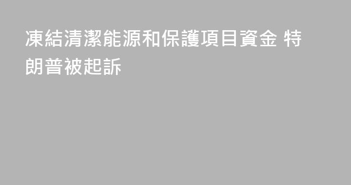 凍結清潔能源和保護項目資金 特朗普被起訴