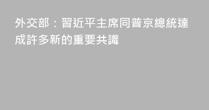 外交部：習近平主席同普京總統達成許多新的重要共識