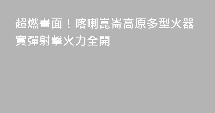 超燃畫面！喀喇崑崙高原多型火器實彈射擊火力全開