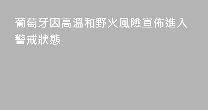 葡萄牙因高溫和野火風險宣佈進入警戒狀態