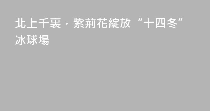 北上千裏，紫荊花綻放“十四冬”冰球場
