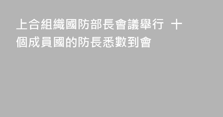上合組織國防部長會議舉行  十個成員國的防長悉數到會