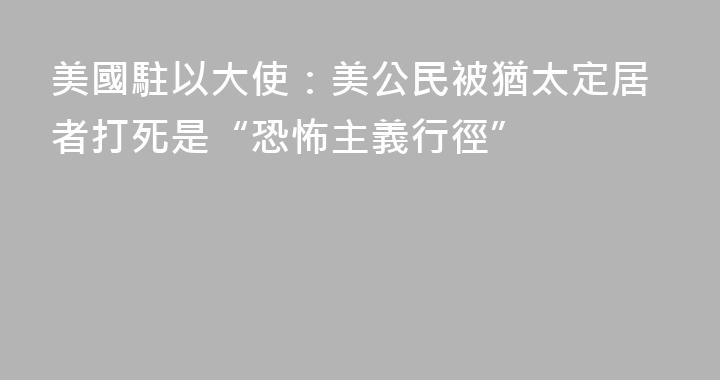 美國駐以大使：美公民被猶太定居者打死是“恐怖主義行徑”