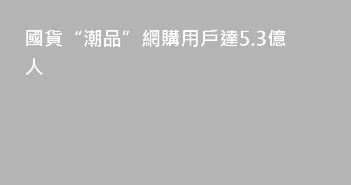 國貨“潮品”網購用戶達5.3億人