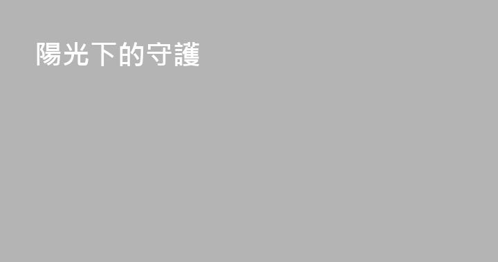 陽光下的守護