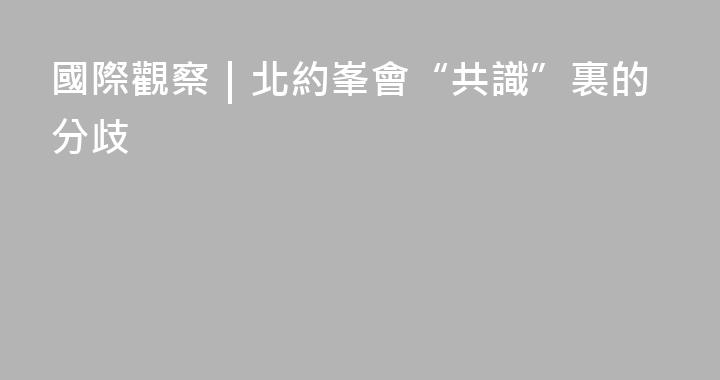 國際觀察｜北約峯會“共識”裏的分歧