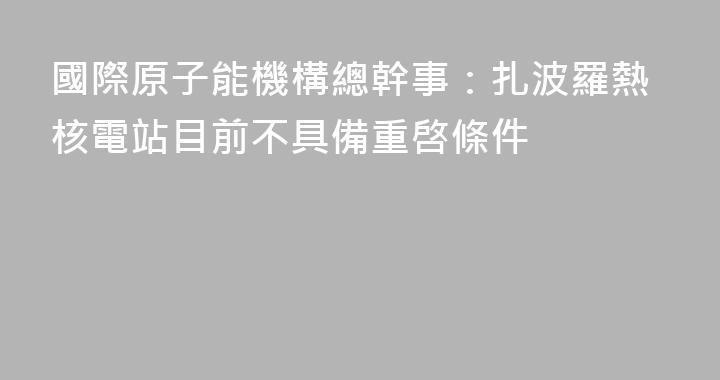 國際原子能機構總幹事：扎波羅熱核電站目前不具備重啓條件