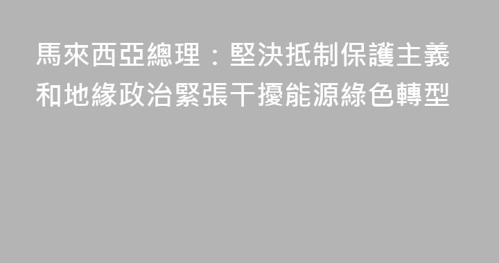 馬來西亞總理：堅決抵制保護主義和地緣政治緊張干擾能源綠色轉型