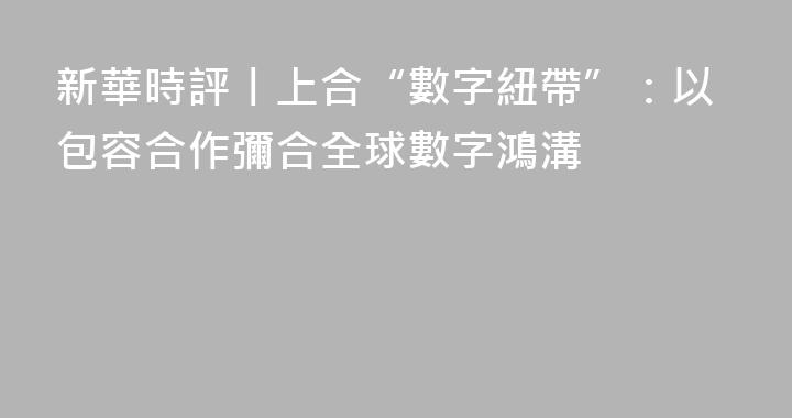 新華時評丨上合“數字紐帶”：以包容合作彌合全球數字鴻溝