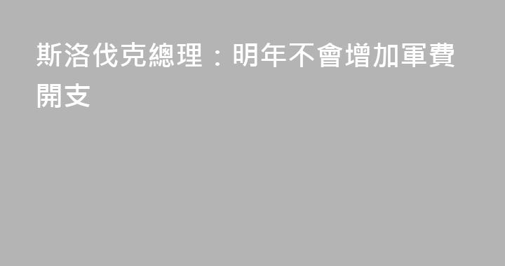 斯洛伐克總理：明年不會增加軍費開支