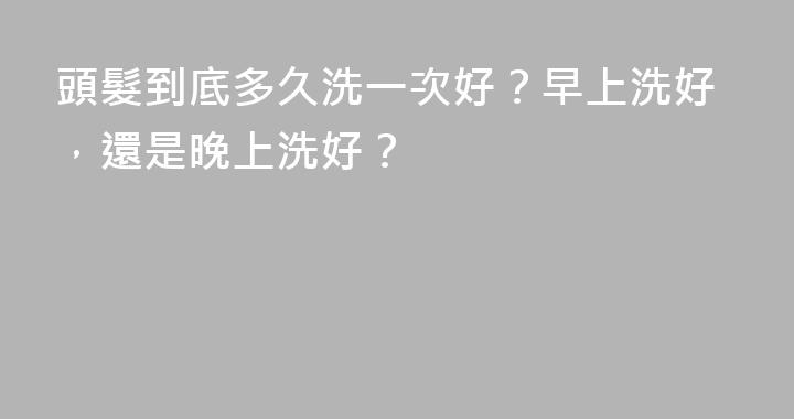 頭髮到底多久洗一次好？早上洗好，還是晚上洗好？