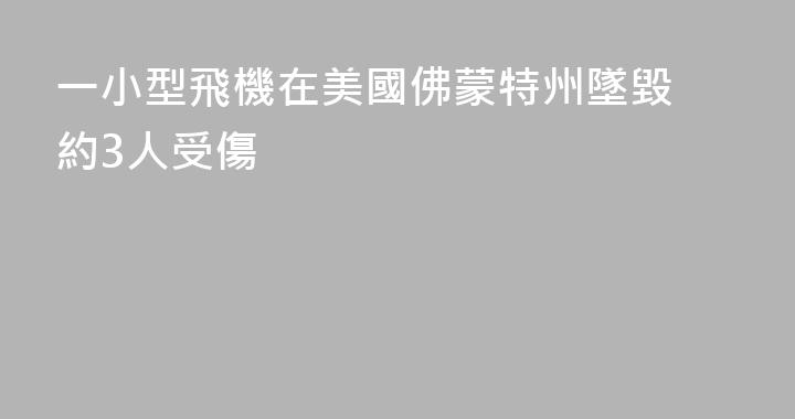 一小型飛機在美國佛蒙特州墜毀 約3人受傷