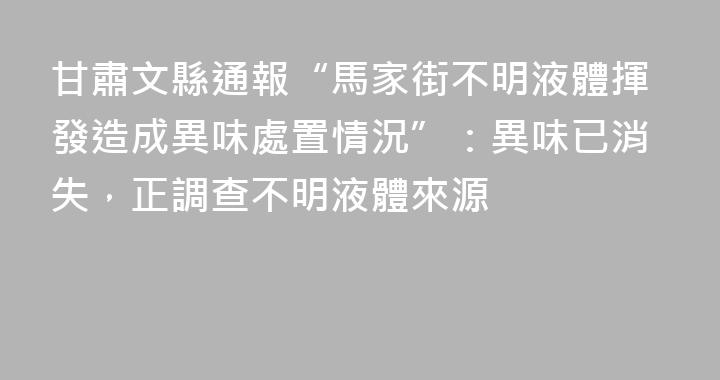 甘肅文縣通報“馬家街不明液體揮發造成異味處置情況”：異味已消失，正調查不明液體來源