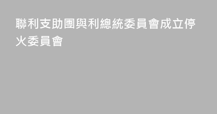 聯利支助團與利總統委員會成立停火委員會