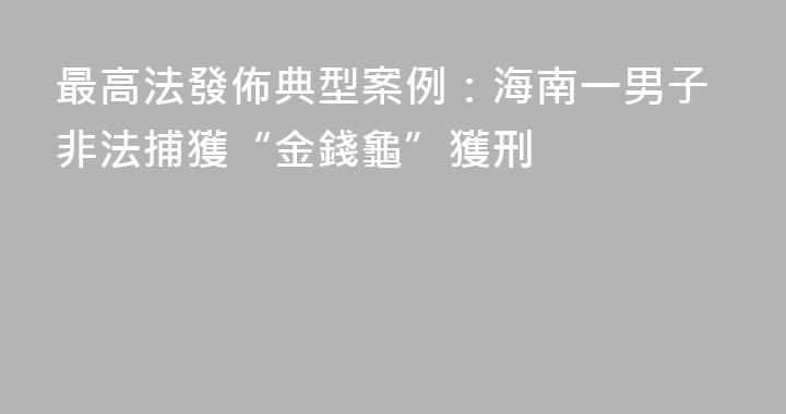 最高法發佈典型案例：海南一男子非法捕獲“金錢龜”獲刑