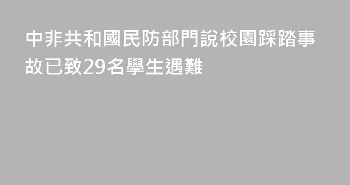 中非共和國民防部門說校園踩踏事故已致29名學生遇難