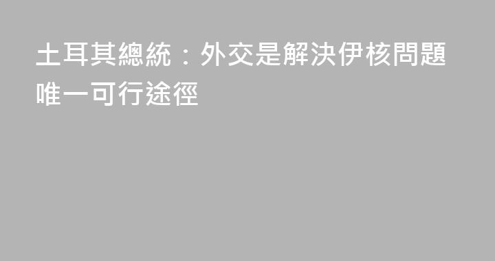 土耳其總統：外交是解決伊核問題唯一可行途徑
