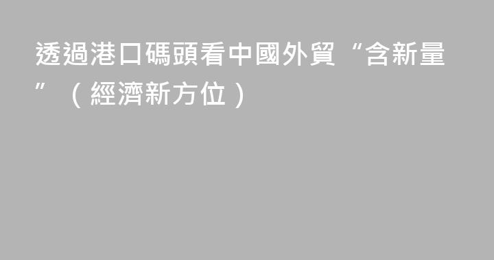 透過港口碼頭看中國外貿“含新量”（經濟新方位）