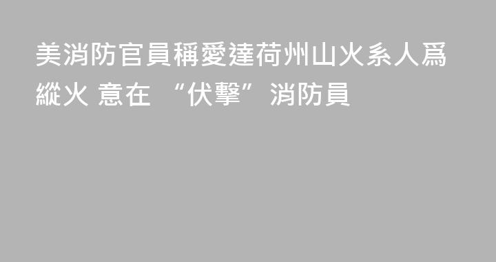 美消防官員稱愛達荷州山火系人爲縱火 意在 “伏擊”消防員