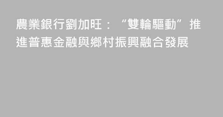 農業銀行劉加旺：“雙輪驅動”推進普惠金融與鄉村振興融合發展