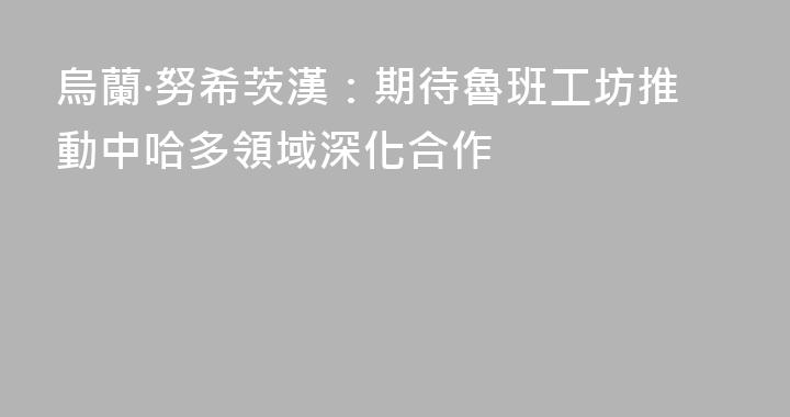烏蘭·努希茨漢：期待魯班工坊推動中哈多領域深化合作