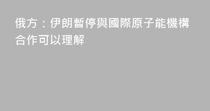 俄方：伊朗暫停與國際原子能機構合作可以理解