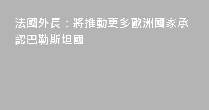 法國外長：將推動更多歐洲國家承認巴勒斯坦國