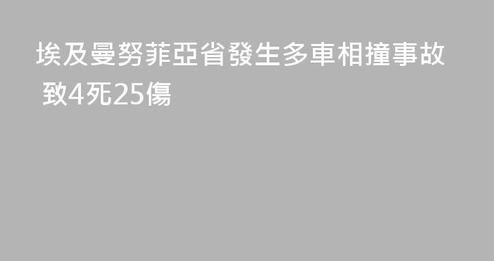 埃及曼努菲亞省發生多車相撞事故 致4死25傷