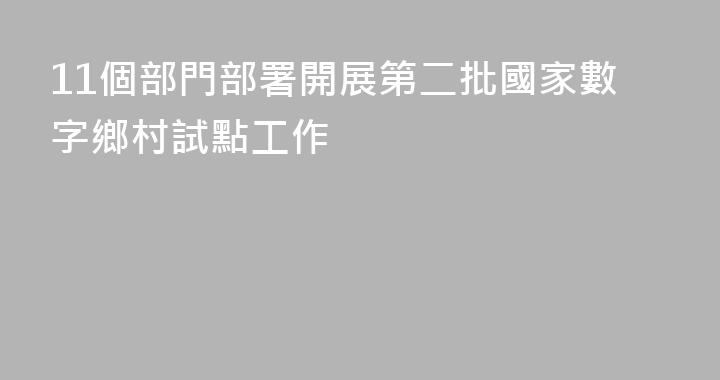 11個部門部署開展第二批國家數字鄉村試點工作