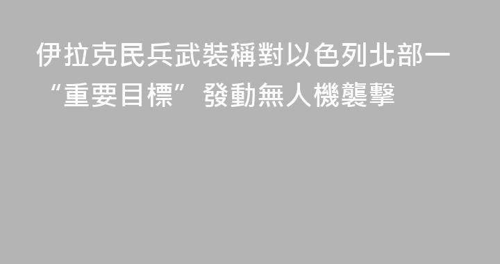 伊拉克民兵武裝稱對以色列北部一“重要目標”發動無人機襲擊