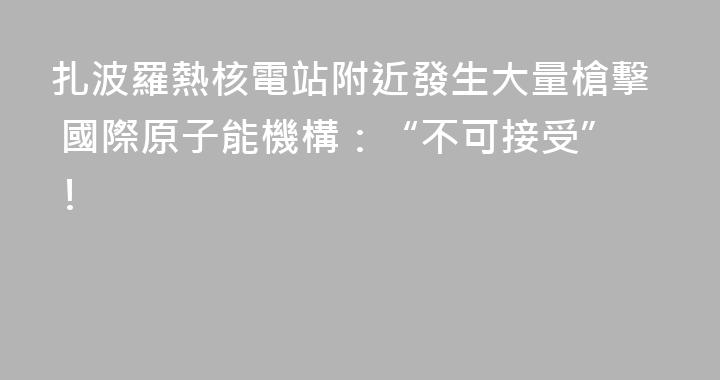 扎波羅熱核電站附近發生大量槍擊 國際原子能機構：“不可接受”！