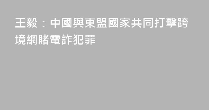 王毅：中國與東盟國家共同打擊跨境網賭電詐犯罪